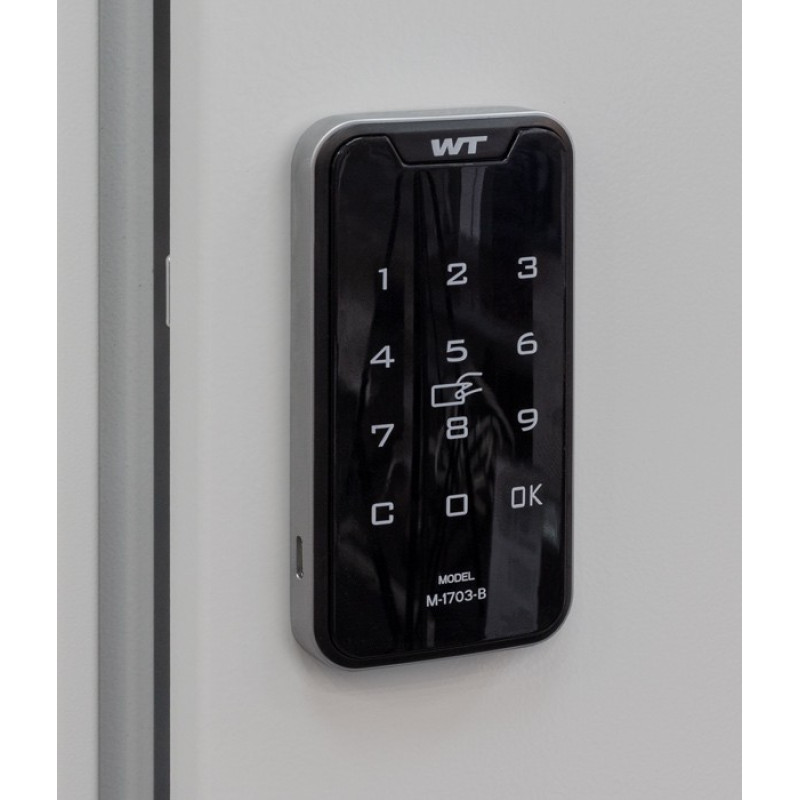 Electronic touch lock with the possibility of using a plastic card