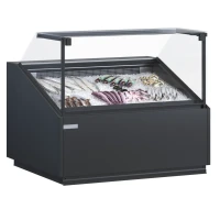 Refrigerated Fish Display Case